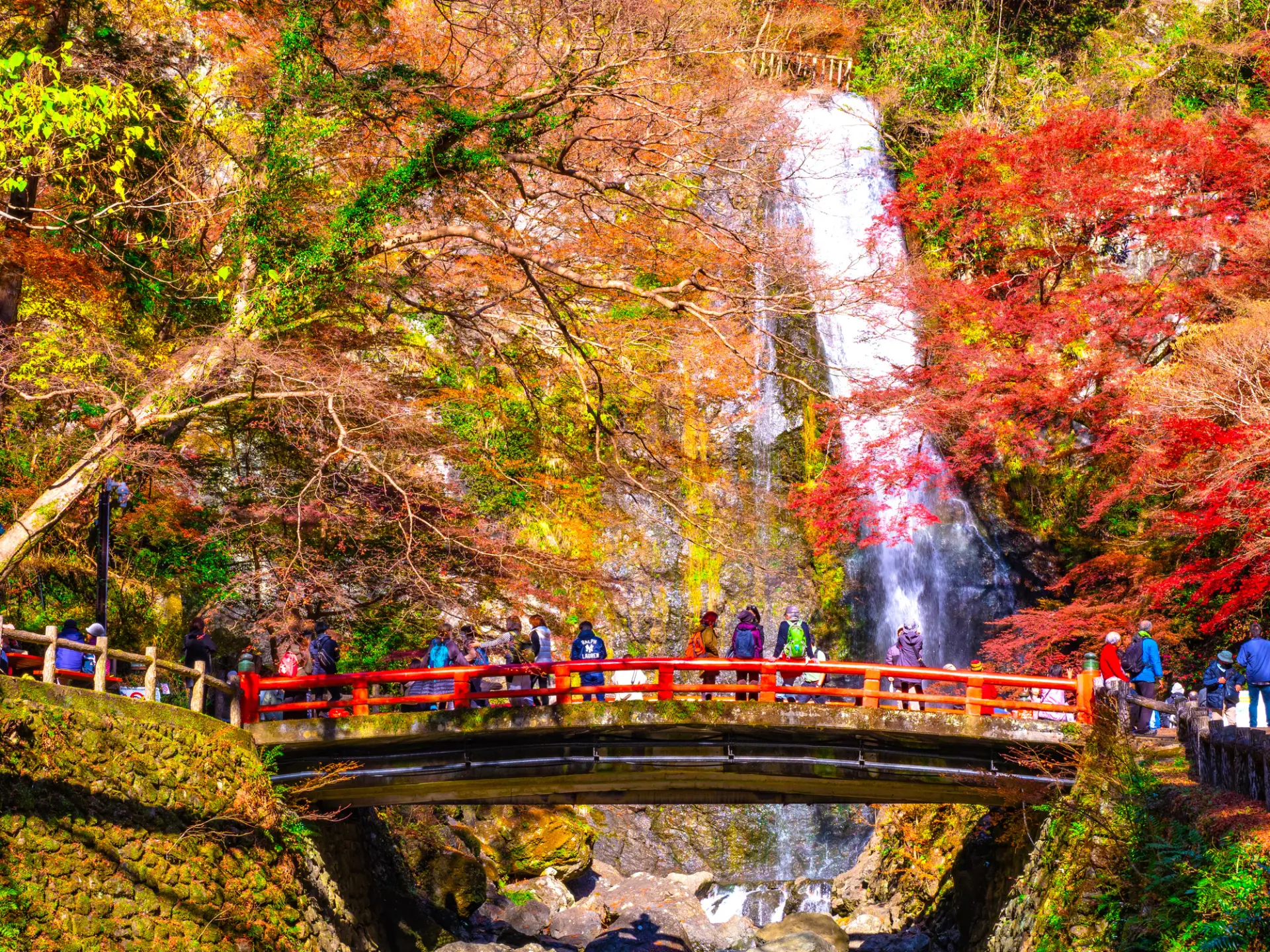 🍁 秋日限定：箕面大瀑布與紅葉狩的治癒之旅 cover